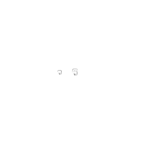 Tazzycamper