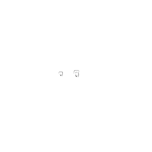 Tazzycamper